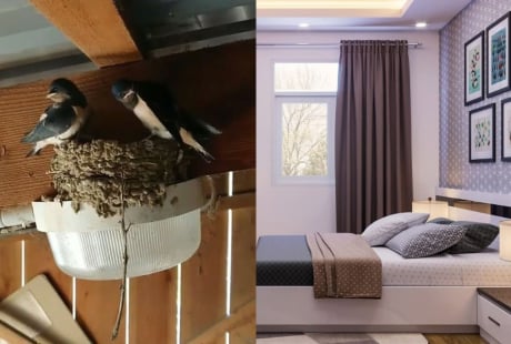 5 hiện tượng báo tin trúng lộc trời, nhà sắp đón tiền tài ùn ùn kéo đến