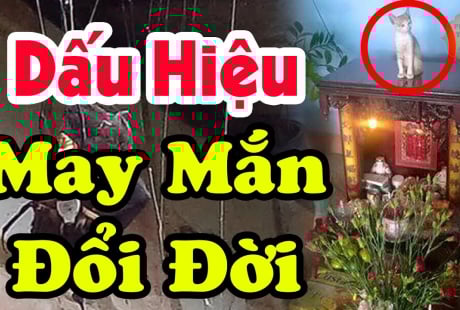 Tổ tiên báo mộng: Nhà có 4 thứ này gia chủ sắp Trúng Số đổi đời, tiền vào như nước