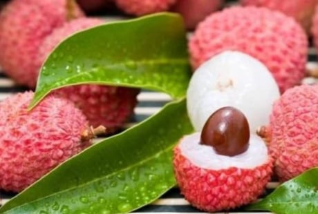 Bí quyết bảo quản vải thiều lâu ngày vẫn tươi mọng, không bị thâm vỏ