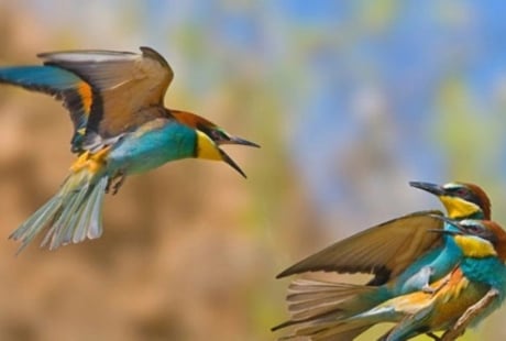 Người sinh vào 3 tháng Âm lịch này, tuổi trẻ gian nan, nhưng trung niên tài lộc bùng nổ