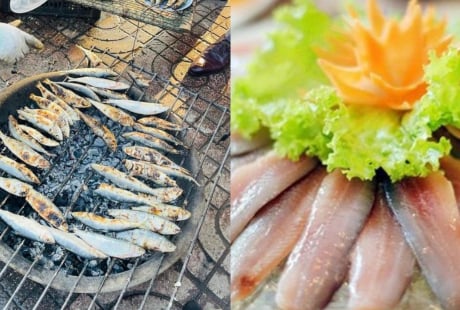 Loại cá này đầy chợ Việt, giá rẻ bằng 1/5 cá hồi nhưng cũng giàu omega, lại ít lo ngậm thủy ngân