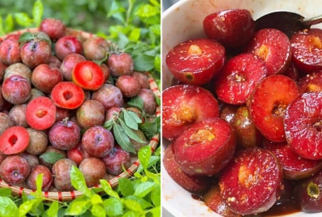 Mận chín ngon khó cưỡng nhưng có 6 nhóm người không nên ăn, thèm mấy cũng đừng động vào