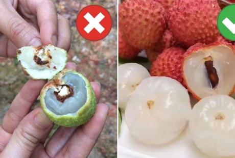 Cách chọn vải không bị sâu đầu, cùi dày, hạt nhỏ