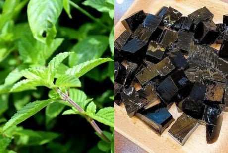 “Loại cỏ dại” bỗng thành đặc sản giải nhiệt mùa hè, giá 150.000 đồng/kg, trồng dễ lời cao khiến dân tình tranh nhau săn