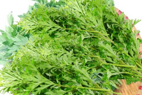 Rau ngải cứu nấu cùng thứ này vừa ngon lại có công dụng tuyệt vời, cả nam nữ đều cần