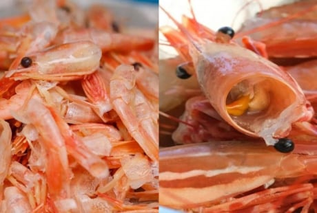 Việt Nam lãng phí “mỏ vàng” từ vỏ tôm: Giá trị gấp 25 lần tôm, cơ hội tỷ đô ai nắm sẽ giàu