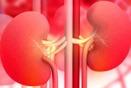 5 dấu hiệu vào buổi tối cảnh báo suy thận, chủ quan là chạy thận cả đời