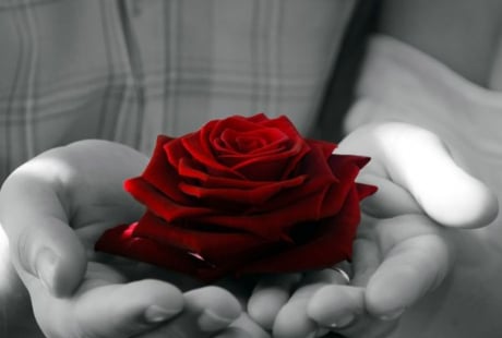 Người tốt với cha mẹ thì có thể tốt với thiên hạ, người tốt với thiên hạ chưa chắc tốt với cha mẹ