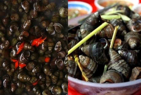 Mẹo ngâm ốc nhanh nhả sạch nhớt, bẩn, không tanh