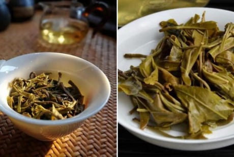 Bỏ bã trà là lãng phí, giữ lại giúp giải quyết 7 vấn đề quan trọng, cả nam và nữ đều cần