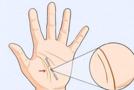 Giải mã 3 đường chỉ tay liên quan đến vận mệnh mỗi người