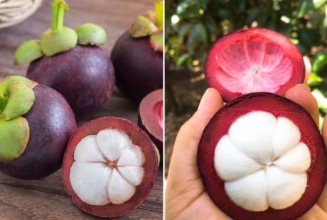 Mẹo chọn măng cụt ngon: Nhìn vào điểm này biết quả nào nhiều múi, căng mọng, vỏ mỏng