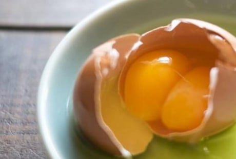 Gà đẻ trứng hai lòng đỏ là điềm gì? Có phải do hormone? Liệu có nở ra 2 gà con?