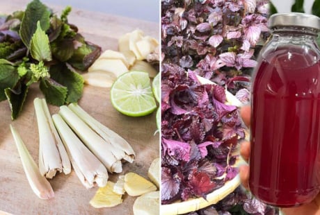 Nấu nước lá tía tô thêm chanh, gừng, sả: Cơ thể nhận được 6 lợi ích tuyệt vời, ai cũng cần