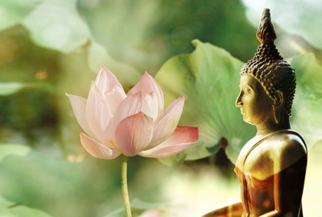 Đời này có 4 việc không thể xoay chuyển, có cưỡng cầu cũng vô ích