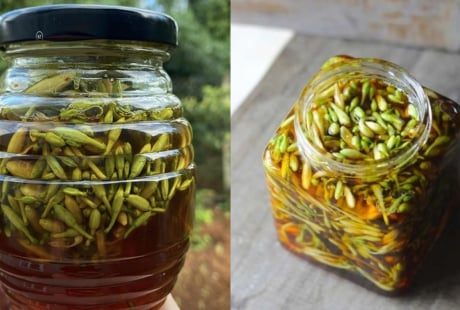 Bị bệnh gì có thể dùng hoa đu đủ đực ngâm mật ong?