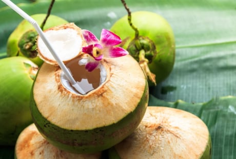 Có nên uống nước dừa hằng ngày không?