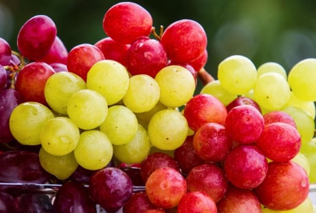 Các loại quả dễ khiến hơi thở có nồng độ cồn