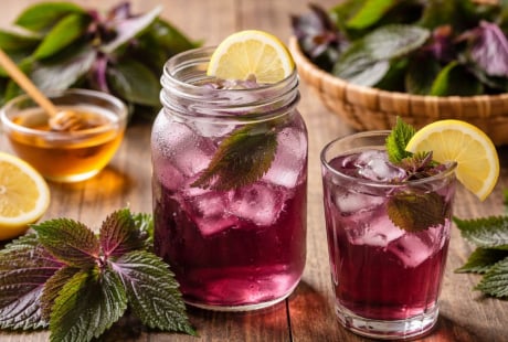 Uống nước tía tô tưởng bổ: 5 trường hợp càng uống càng hại, nhiều người vẫn mắc