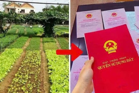 Từ năm 2026, chi phí chuyển đất vườn lên đất ở mất bao nhiêu tiền?