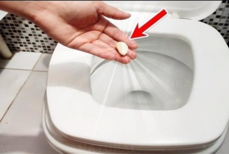 Vì sao nên bỏ một tép tỏi vào bồn cầu trước khi đi ngủ?