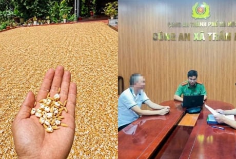 Bị phạt 7,5 triệu đồng vì đăng ảnh chế thóc phơi ngoài trời nổ thành bỏng