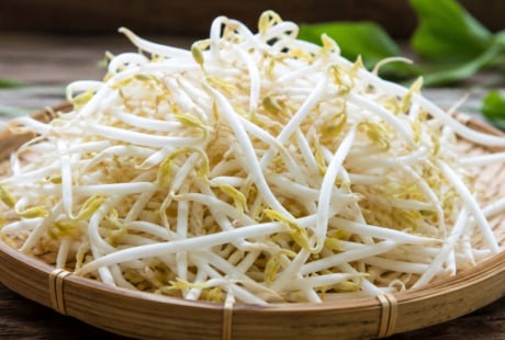 Cách phân biệt giá đỗ có nguy cơ nhiễm hoá chất