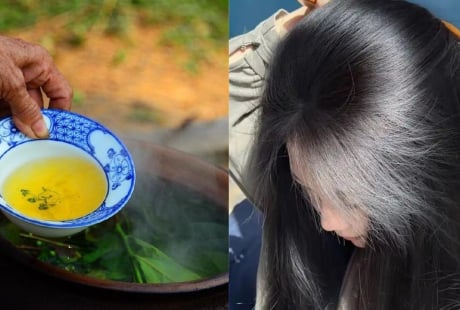 Cách gội đầu bằng nước chè xanh làm sạch gàu, giảm bết, tóc con mọc tua tủa