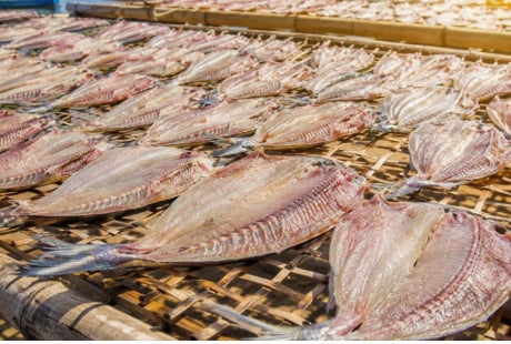 Ăn nhiều 6 loại cá này có thể tăng nguy cơ ung thư nhưng vẫn nhiều người thích ăn