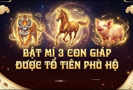 Không giàu sớm nhưng giàu bền: 3 con giáp tích lũy tiền tỷ ngập nhà