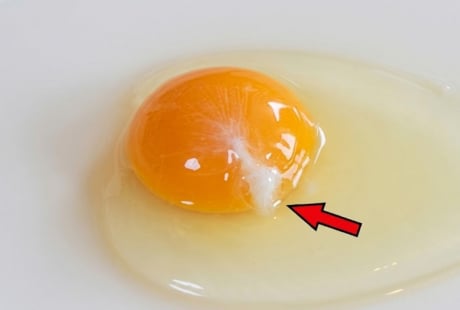 Trứng gà đập ra có sợi trắng đục: Có ăn được không?