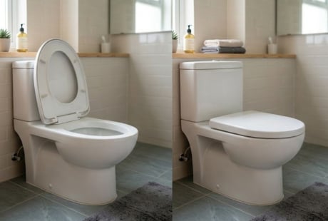 Sau khi đi vệ sinh, nên đóng hay mở nắp bồn cầu?