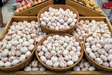 Tỏi ở siêu thị không mọc mầm: Nhờ 3 lý do này