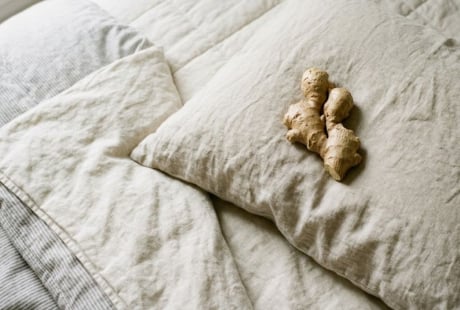 Đặt gừng cạnh gối trước khi ngủ: Biết lợi ích, nhiều người muốn làm theo