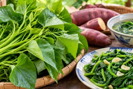 Tin vui cho những người thích ăn rau khoai lang: Món dân dã này có nhiều điều đáng giá hơn bạn nghĩ