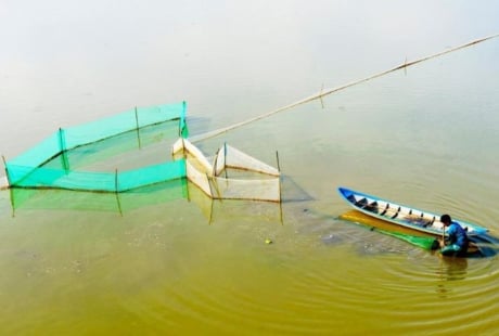 Những nghề mưu sinh độc đáo trong mùa nước nổi miền Tây Nam Bộ