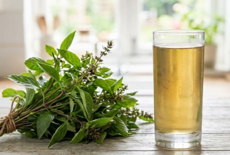 6 lợi ích của việc uống nước lá húng quế