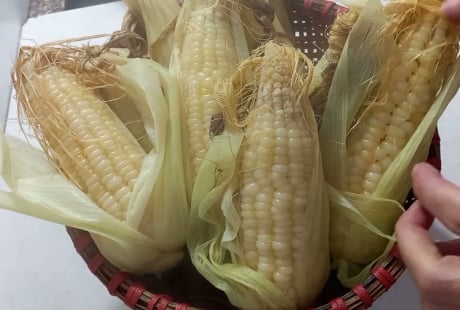 Mẹo luộc ngô nếp hạt dẻo ngọt đều