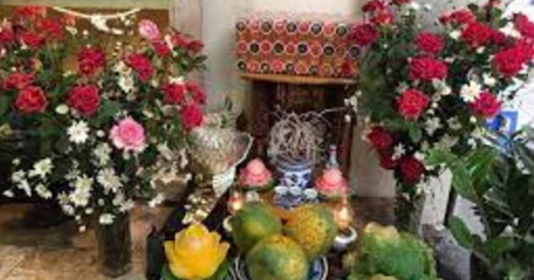 Đây mới là cây lộc khí phừng phừng, nghe tên cũng thấy giàu sang