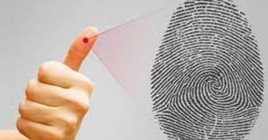 Các cụ nói ‘1 hoa nghèo, 2 hoa giàu, 3 hoa 4 hoa bán đậu hũ’: Sự thật ra sao?