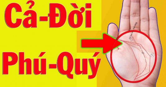 Lòng bàn tay xuất hiện 4 điểm, chủ nhân sớm muộn cũng phát tài