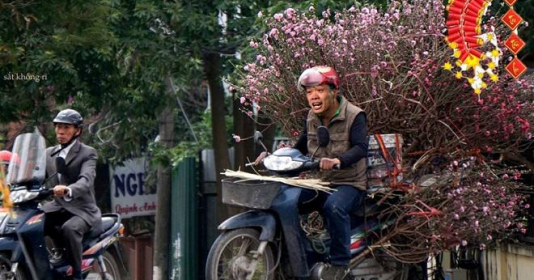 Người hâm mộ hài hước chế ảnh Công Phượng, Quang Hải về quê bán đào Tết, nhìn ảnh này mới cười 
