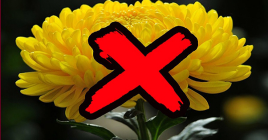 5 loại hoa để trên bàn thờ là mất lộc, ngày Rằm, mùng 1 gia chủ nhớ tránh xa