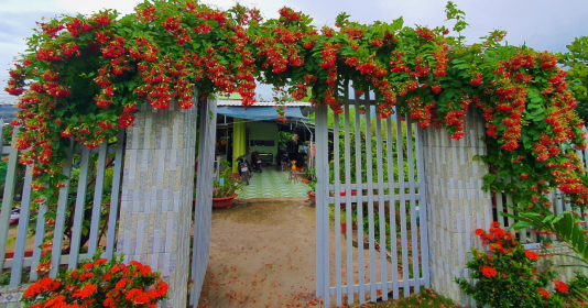 Trước cổng trồng 5 cây này vừa đẹp vừa gọi lộc, gia chủ không giàu sang phú quý cũng hạnh phúc viên mãn